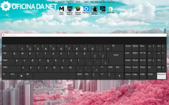 Ahora puede usar NumLock Ahora puede usar NumLock