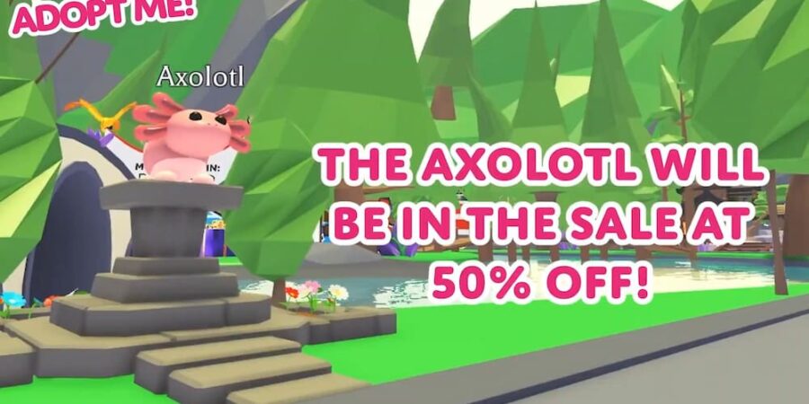 adopt axolotl